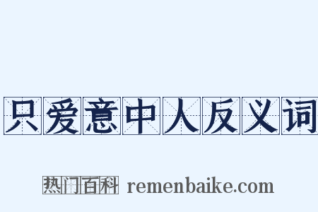只爱意中人反义词是什么意思的图片
